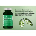 Herboxa Lungwort Gummies | Lung Support Gummy Supplement Herboxa Lungwort Gummies | Lung Support Gummy Supplement