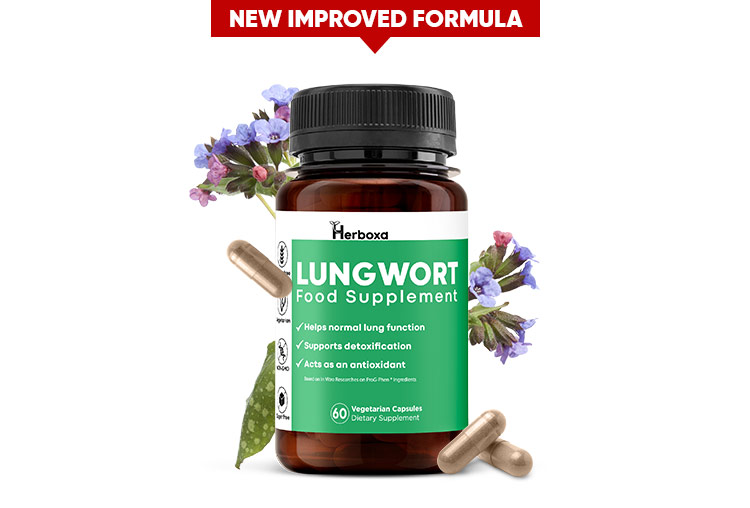Herboxa Lungwort | Lung Support Supplement