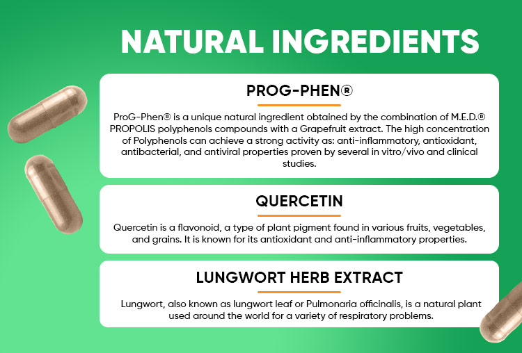 Herboxa Lungwort | Lung Support Supplement