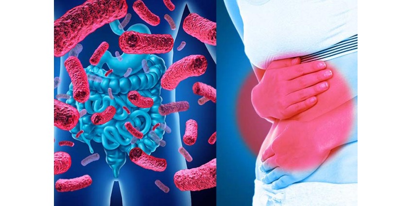 The Truth About Gut Health And Weight Management