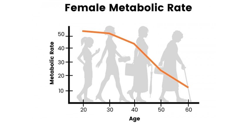 Hormonal Weight Gain. What we need to know?