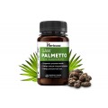 Saw Palmetto Saw Palmetto