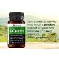 Saw Palmetto Saw Palmetto