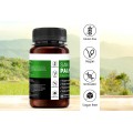 Saw Palmetto Saw Palmetto