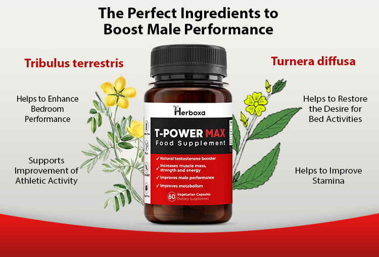 Herboxa T-Power MAX | Food Supplement