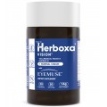  Herboxa® Vision | with EYEMUSE®, Zinc, Lutein&Zeaxanthin 