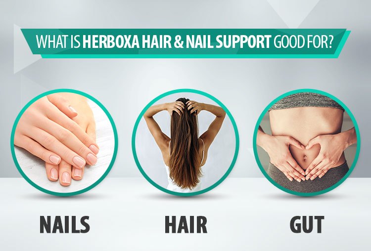 Herboxa Hair & Nail Support | Food Supplement