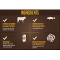 Herboxa Choco Collagen Complex Herboxa Choco Collagen Complex