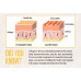 Herboxa Choco Collagen Complex Herboxa Choco Collagen Complex