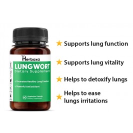 Herboxa Lungwort | Lung Support Supplement