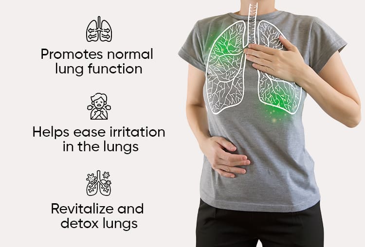 Herboxa Lungwort | Lung Support Supplement