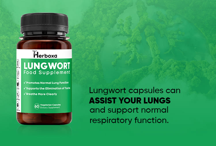 Herboxa Lungwort | Lung Support Supplement