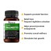 Herboxa Saw Palmetto | Food Supplement Herboxa Saw Palmetto | Food Supplement