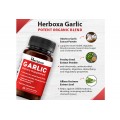 Herboxa Garlic | Heart Supplement