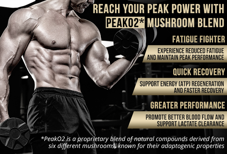 Herboxa Muscle Builder