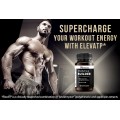 Herboxa Muscle Builder