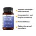 Herboxa Neuro Health | Brain & Focus Formula Herboxa Neuro Health | Brain & Focus Formula