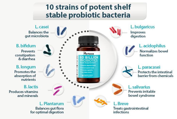 Herboxa Probiotic 60 Billion | Food Supplement