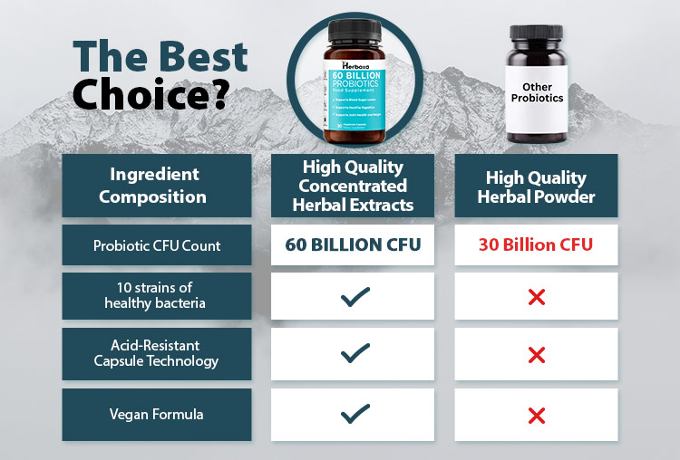 Herboxa Probiotic 60 Billion | Food Supplement