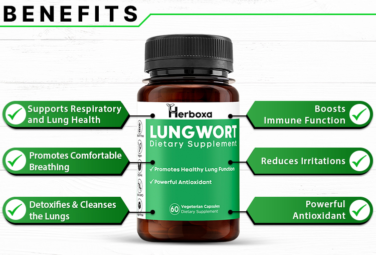Herboxa.com Lungwort Capsules - Lung Cleanse and Detox for Better Lungs -  Cleansing and Cleaner Supplement for
